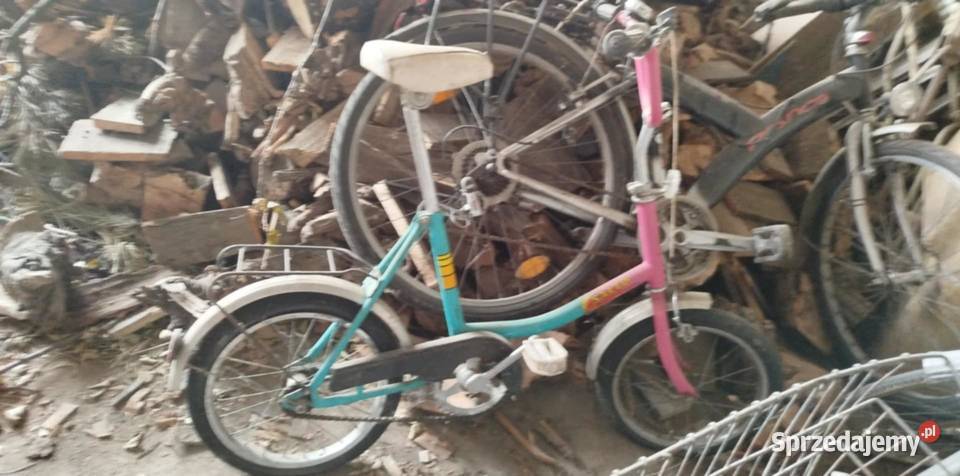 Riwery świętokrzyskie Opatów