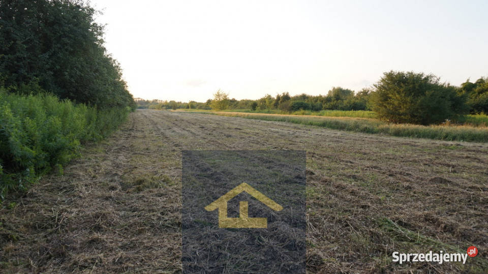 Nieruchomość w Nadbrzeżu