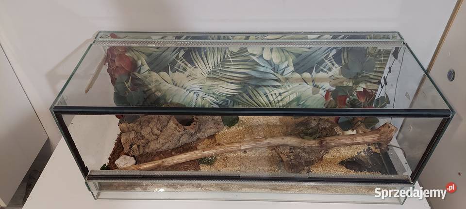 Terrarium Tychy