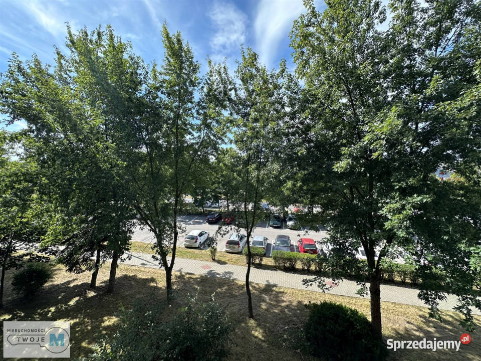 Ogłoszenie mieszkanie 415m2 2pok Kielce świętokrzyskie