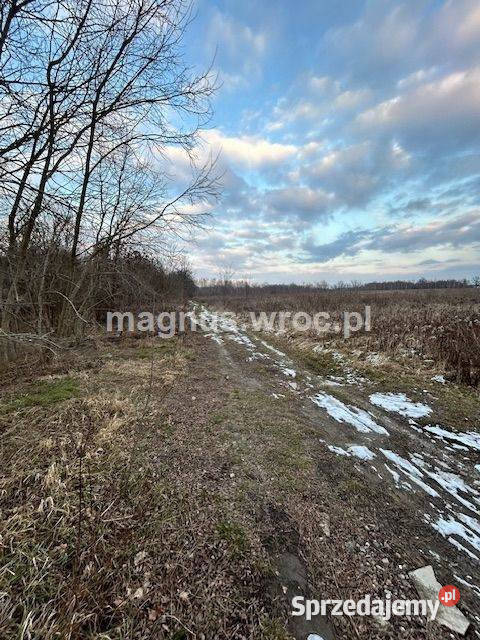 Oferuję działke inwestycyjną w Jerzmanowie Wrocław