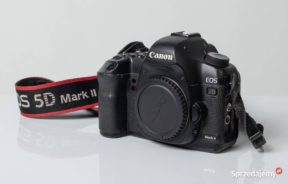 Canon 5D Mark II pomorskie Mrzezino
