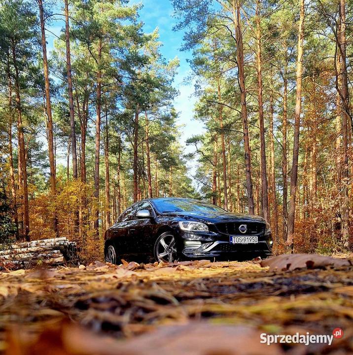 Volvo S60 Rdesing 20d 190 2014r Ostrowiec Świętokrzyski