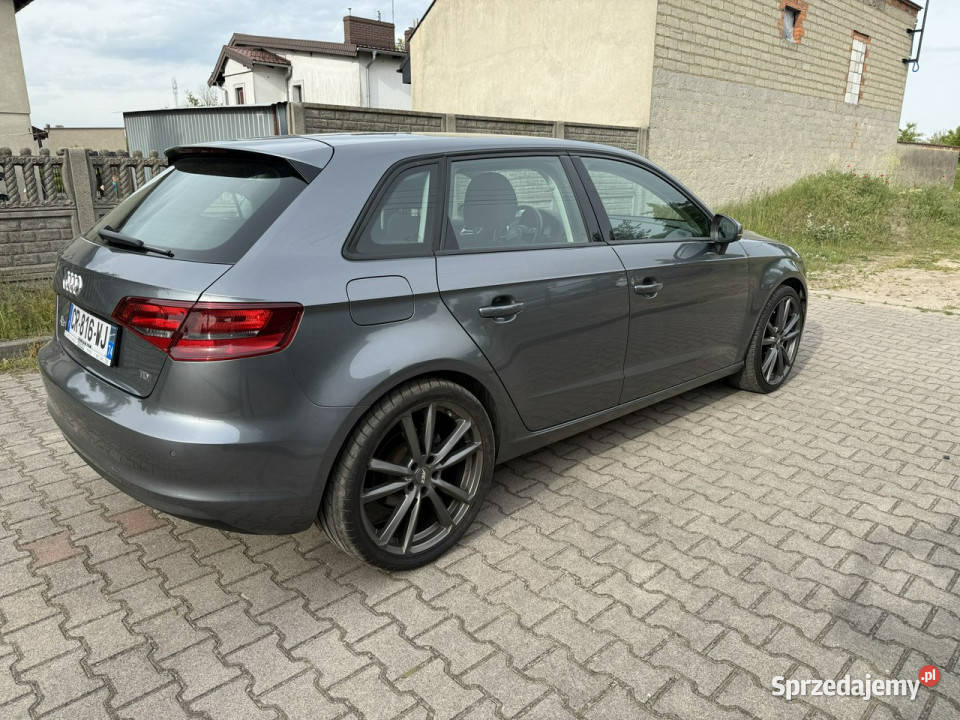 Audi A3 Sportback Audi A3 16TDI 8V 2012 A3 Poniec