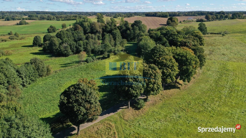 Działka 5500 m2 Łabędzie gmina Drawsko Pom zachodniopomorskie