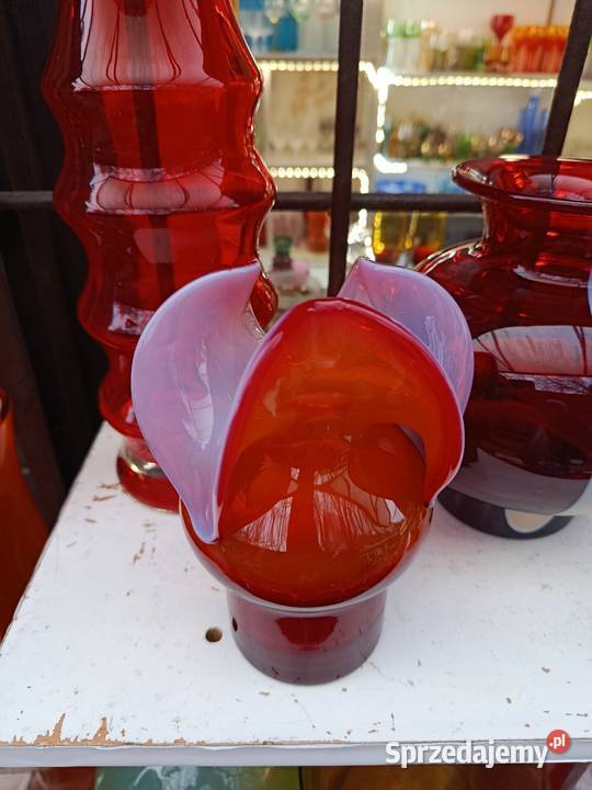 CzZuber osiołek kolorowy