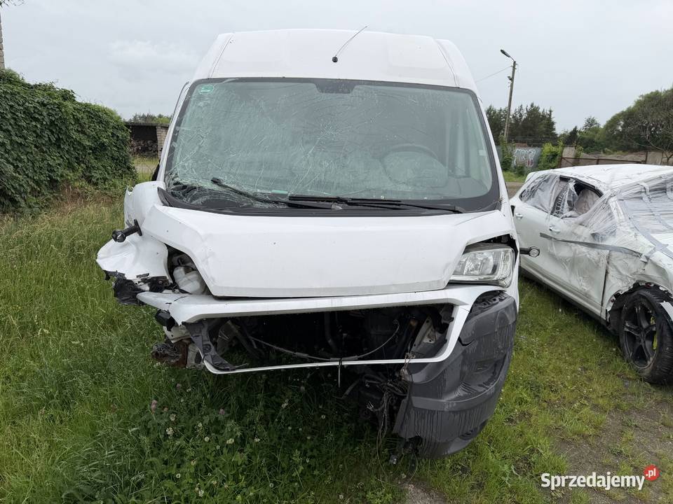 FIAT DUCATO Bus Dostawczy Furgon 2016r 189 Prudnik sprzedam