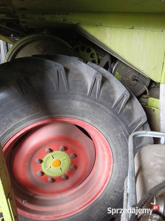 Sprzedam kombajn zbożowy Claas dominator 66 nieuszkodzony Jedwabne