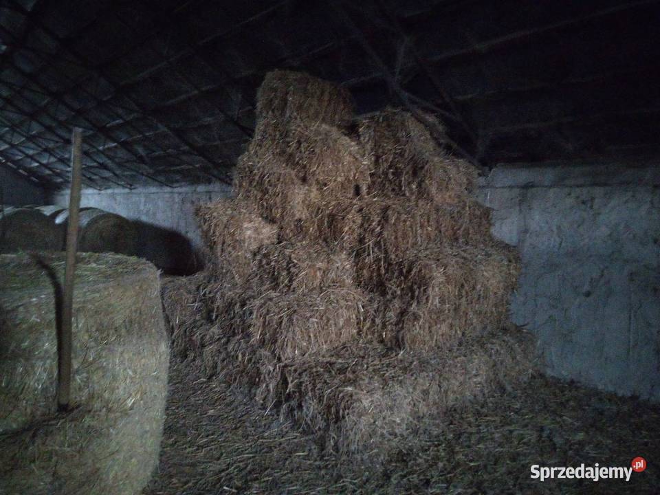 Siano i słoma kostka Kalisz