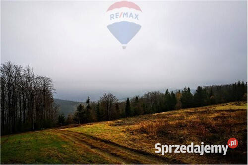 Działka w Beskidach z widokiem na Tatry Wisła sprzedam