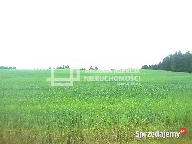 sprzedaży działki 1250m2 Połęczyno