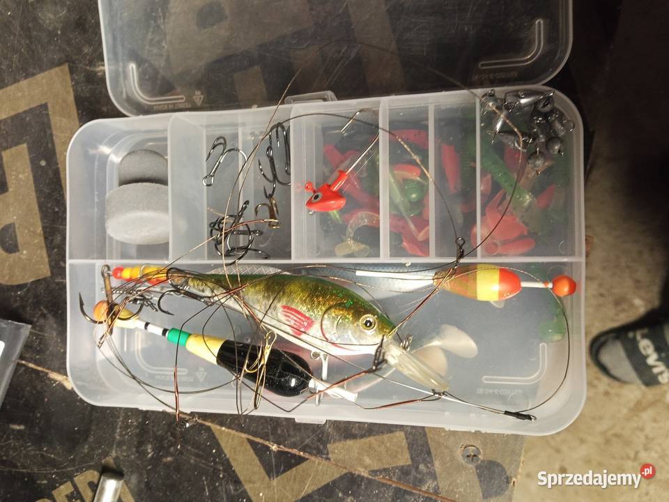 Wędki z Niemiec Cieszacin Mały