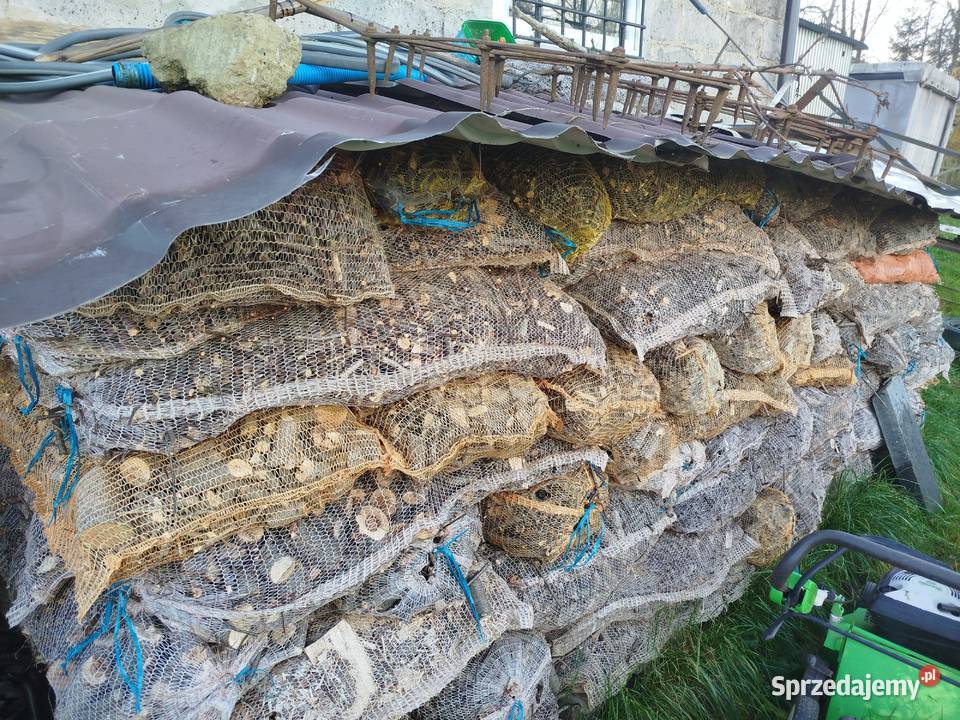 Zrębki z rębaka walcowego gruba do palenia na Sieklówka