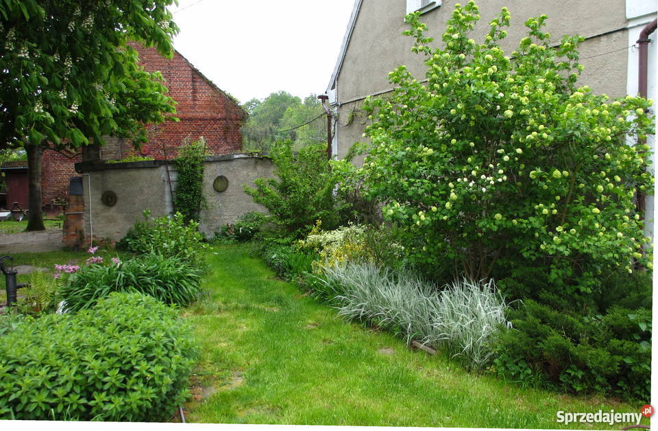 Dom z zabudowanym poddaszem sprzedam telefon Borów Wielki sprzedam