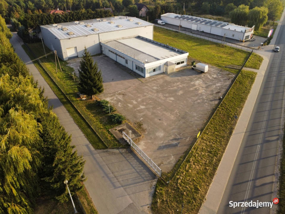 Hala magazynowa z biurami bezpośrednio mazowieckie Urzut