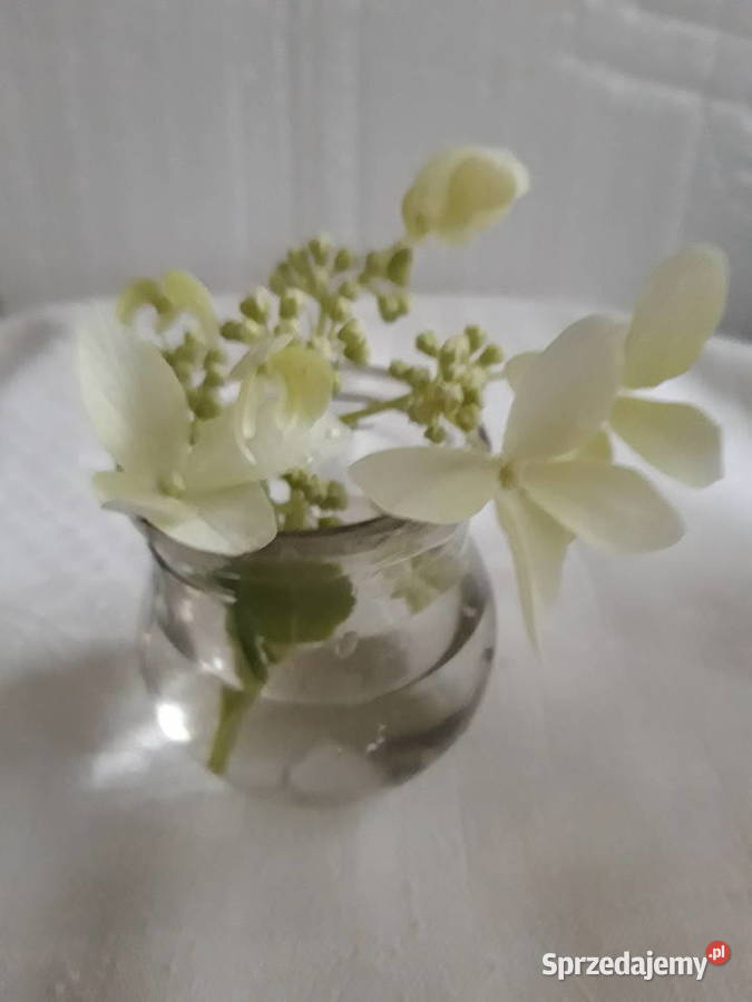 stare bańki lekarskie ogniowe mini wazoniki 7 mazowieckie Warszawa