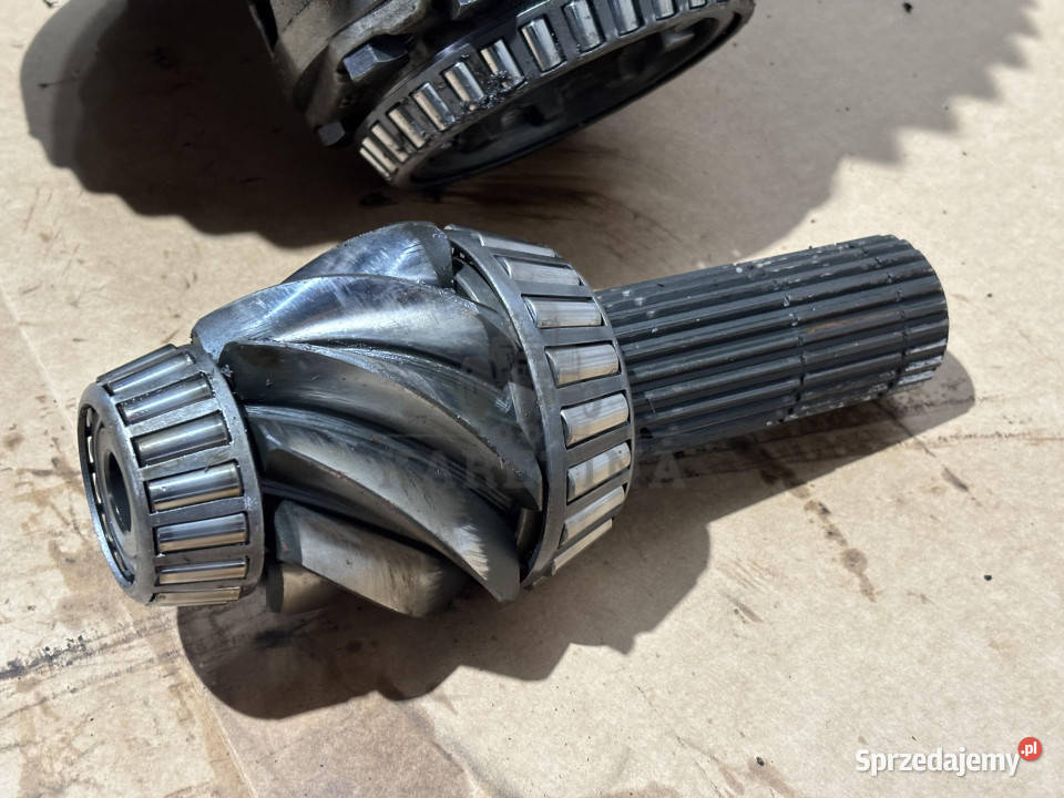 Claas Arek 696 616 Atak Przekładnia Stożkowa Pozostałe Jastrzębniki