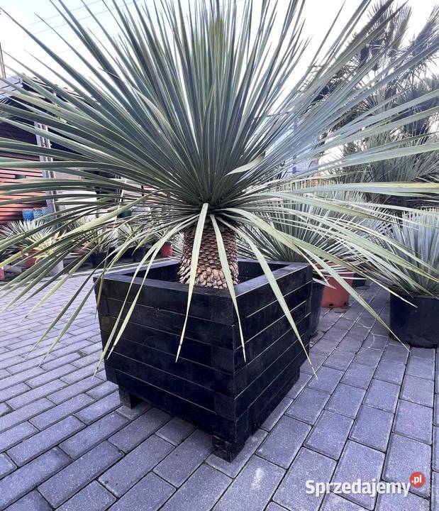 Duża Donica mocna odporna na wode i UV SOLIDNA Warszawa sprzedam