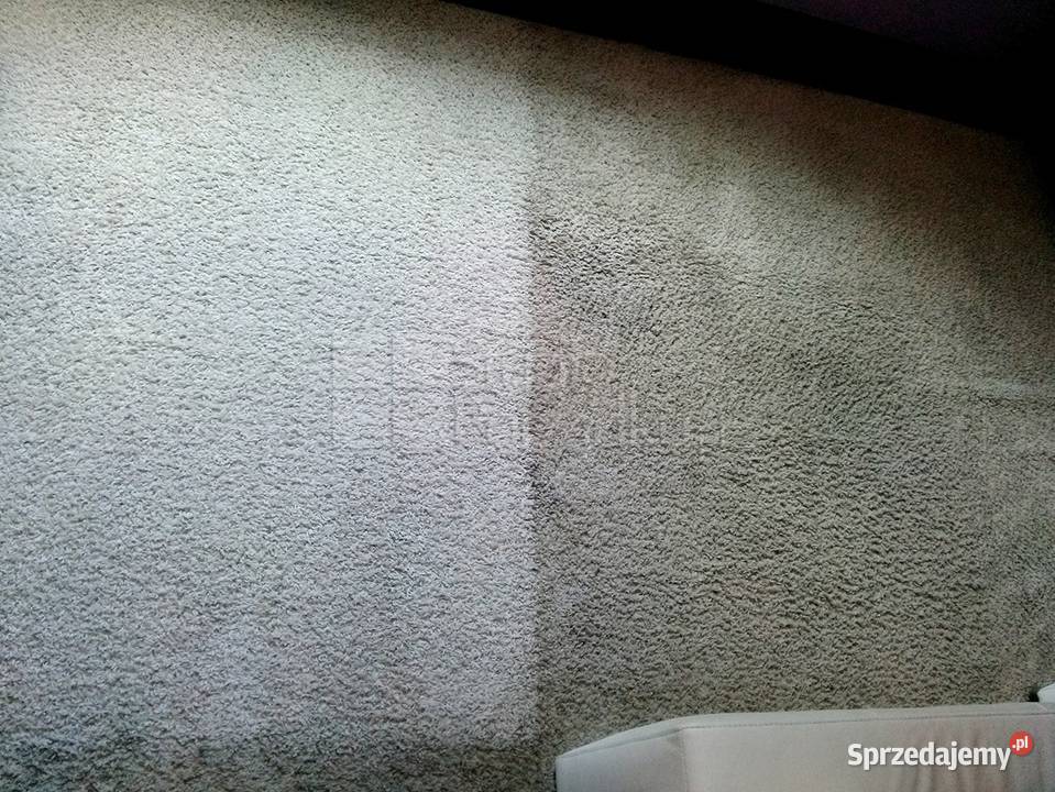 Wypożyczalnia odkurzaczy piorących KARCHER Kraków sprzedam