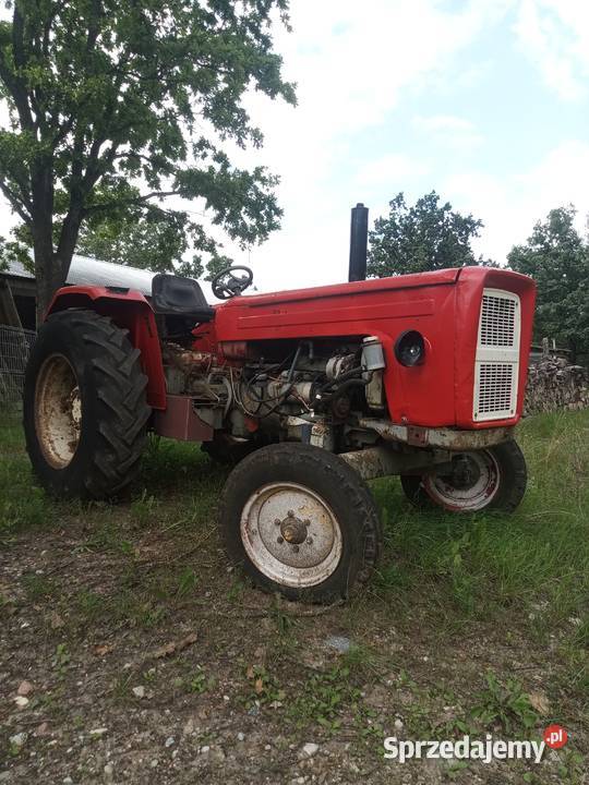 Ciągnik Rolniczy Zetor 3011 Majorek Zetor Puńsk