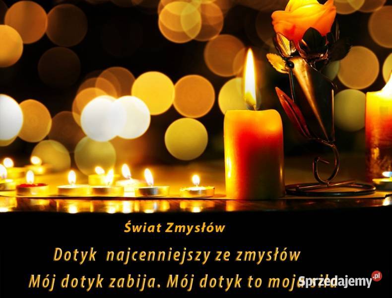 Pozwól Sobie Rozkwitnąć Będę Ogrodnikiem Twoich Gdańsk