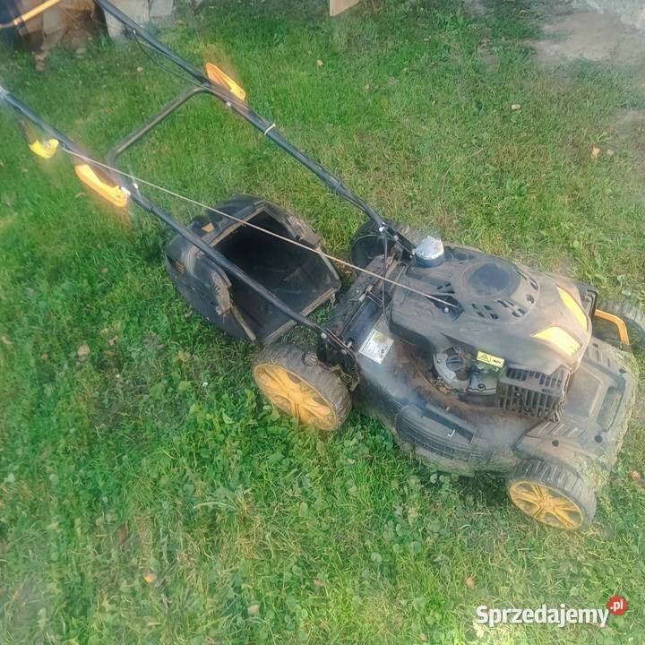 kosiarki spalinowe Lubcza
