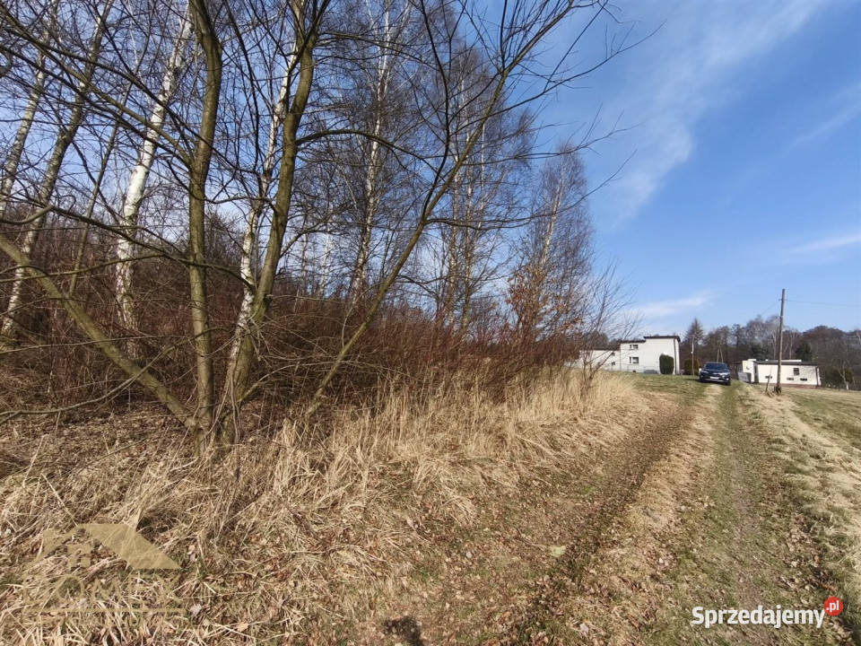Działka Radlin 3467m2 Wodzisław Śląski