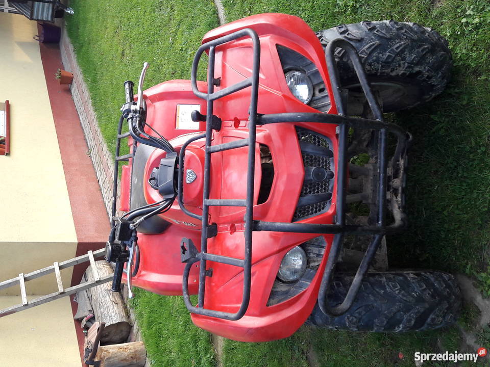 Quad yamaha big bearbruin 250 przyczepka 19KM Yamaha Ropczyce