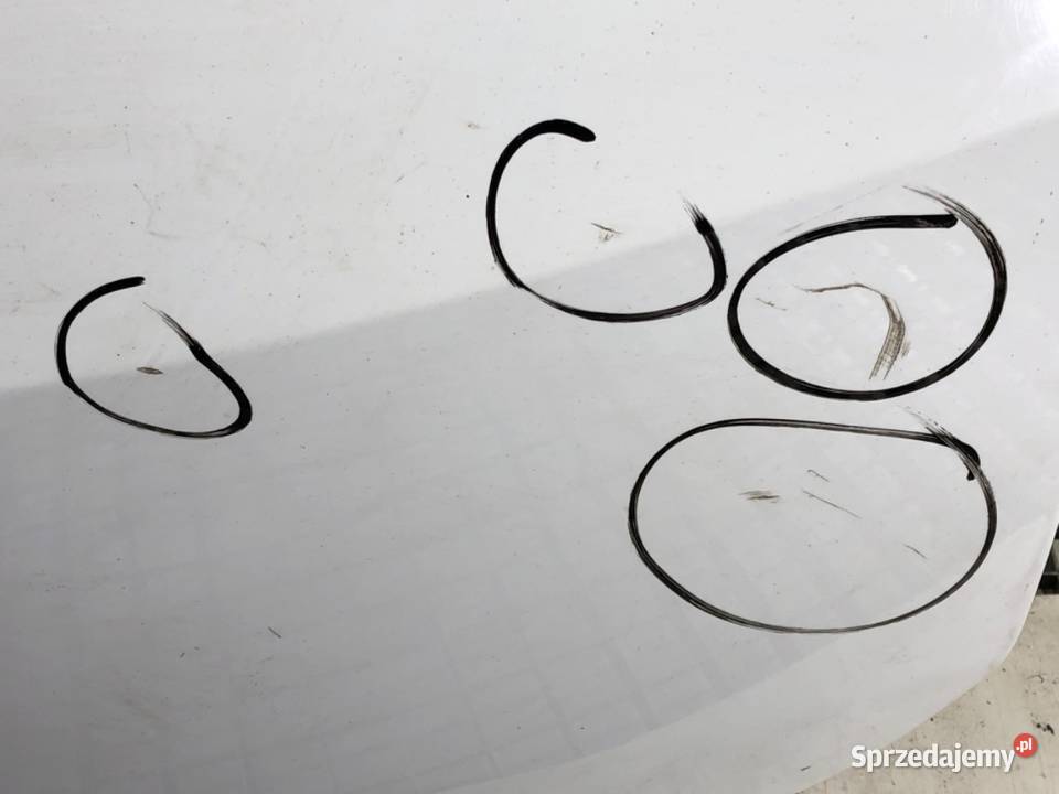 KLAPA TYŁ FORD C II Minivan 1019 TYLNA BAGAŻNIKA osobowe Klapy bagażnika podkarpackie