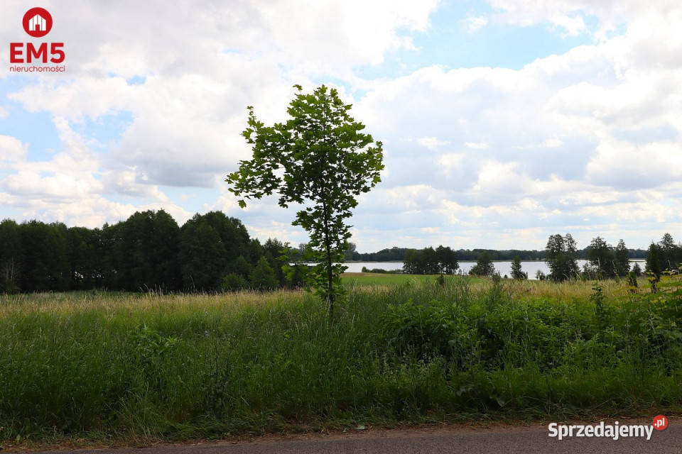 Działka na sprzedaż 2200m2 Rożyńsk Wielki szambo