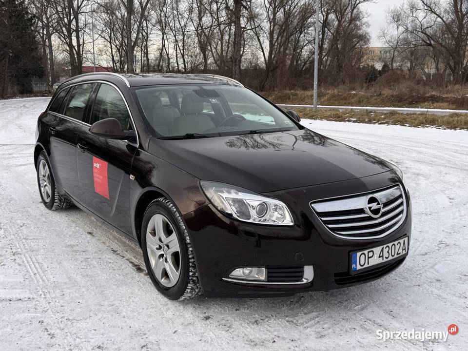 Opel Insygnia 20cdti Salon xenon navi bluetooth śląskie Pińczyce