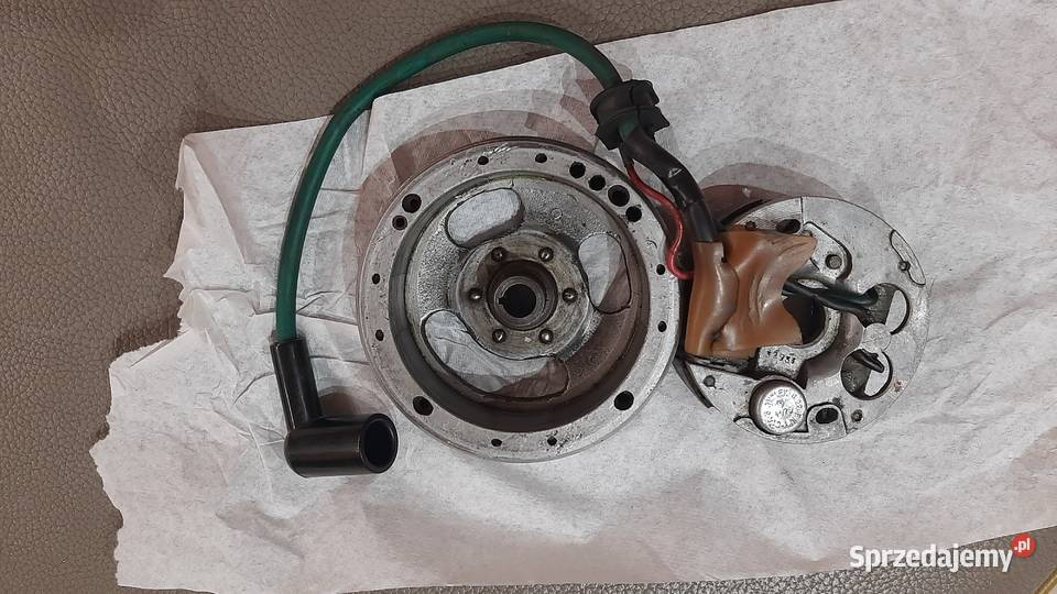 Ryś zapłon Wodzisław Śląski