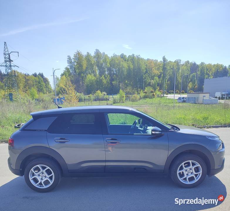 Citron C4 Cactus I właściciel serwisowany w ASO Kielce