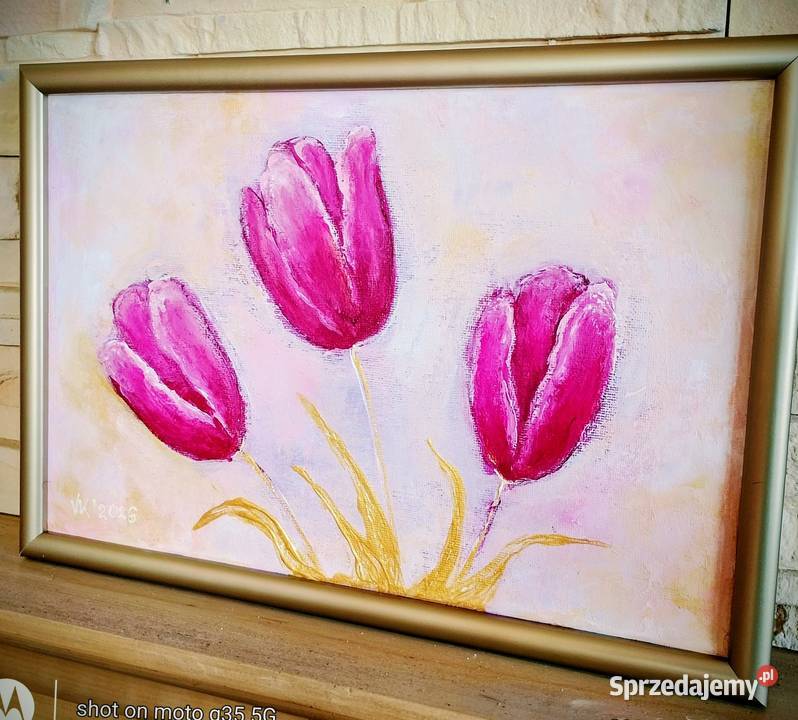 Wiosenne tulipany lubelskie