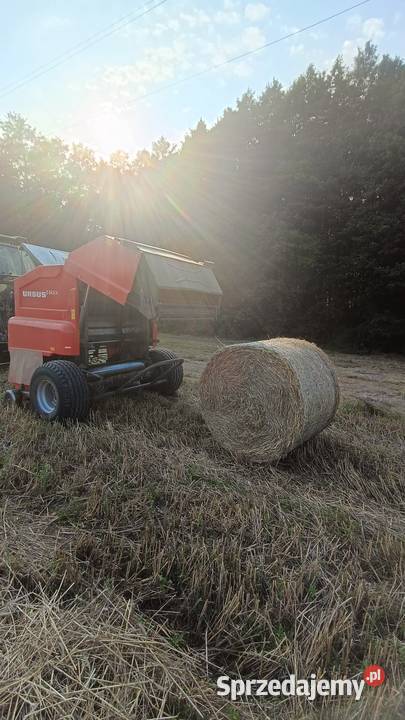 Sprzedam prasę Ursus Z543A Rolujące (belujące) łódzkie