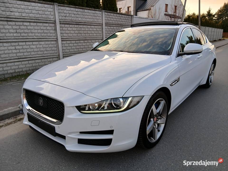 Jaguar XE 20 Panoramadach Automat Biała perła z łopatki zmiany biegów Dobrzyca
