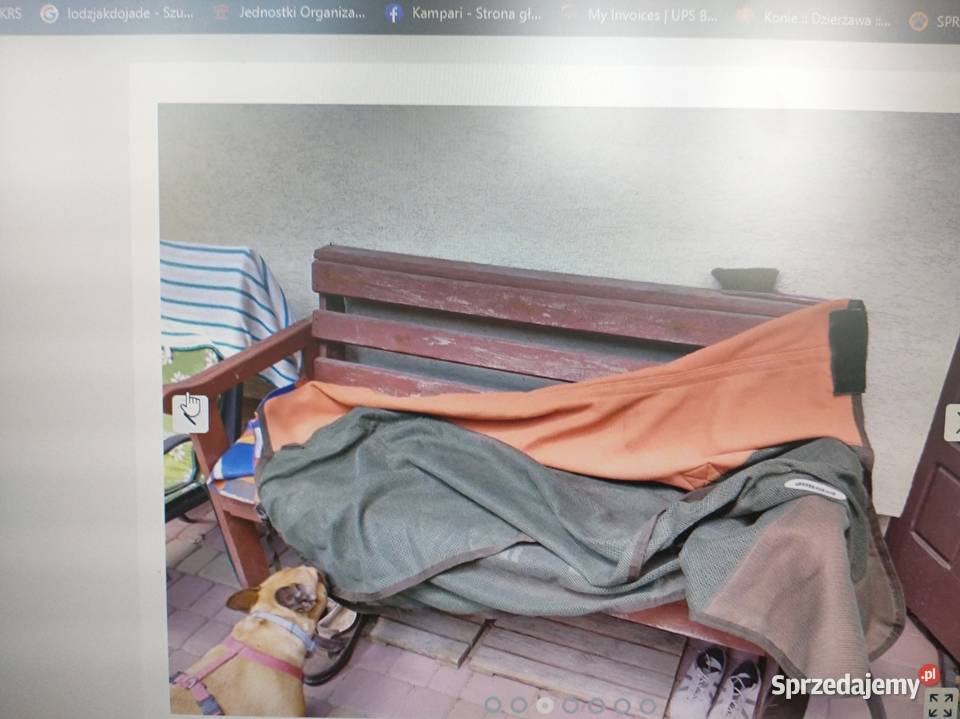 Derka siatkowa EVERLINE BY BUSSE Konie Wrząca