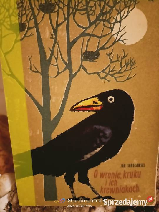 O wronie kruku i ich krewniakach Sokołowski miękka Warszawa