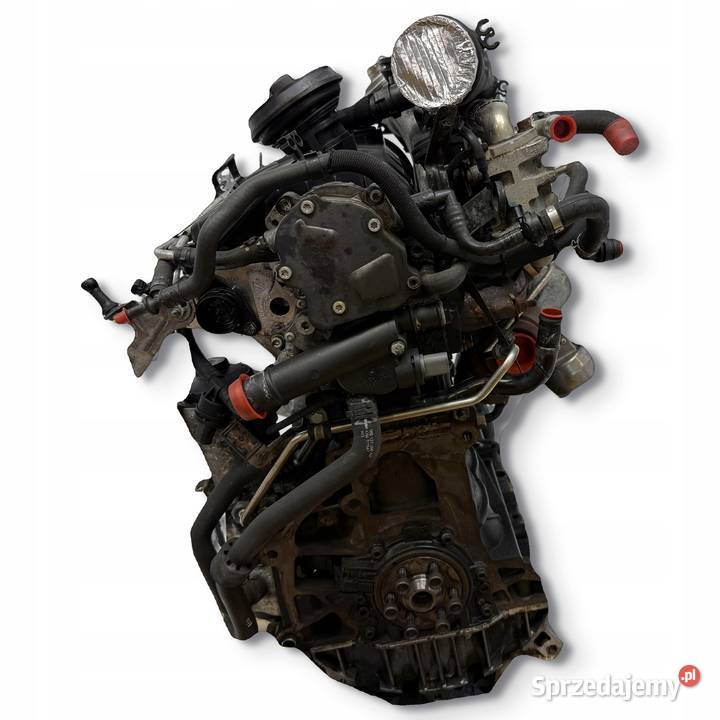 SILNIK BRU VW Golf V Plus Touran 19 TDI 90 Chełm