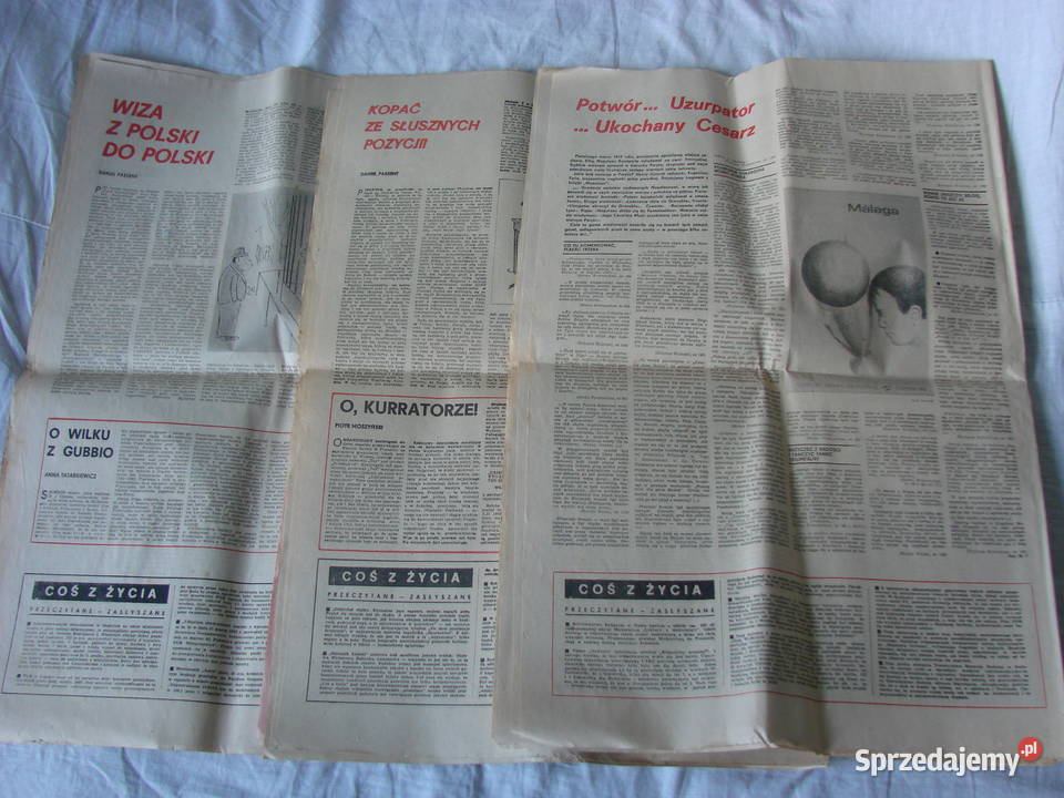 POLITYKA tygodnik czerwiec 1982r Pruszcz Gdański