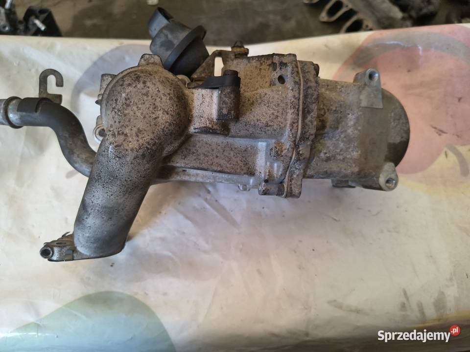 Chłodnica spalin EGR Peugeot 308 508 Citroen 16 Recyrkulacja spalin EGR Strzałków sprzedam