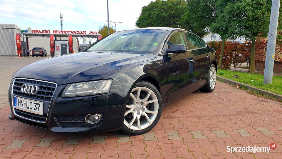 Na Sprzedaż Grudziądz