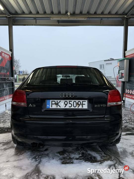 Audi A3 8P 2005 20 TDI 140 manual czarny A3 Kalisz sprzedam