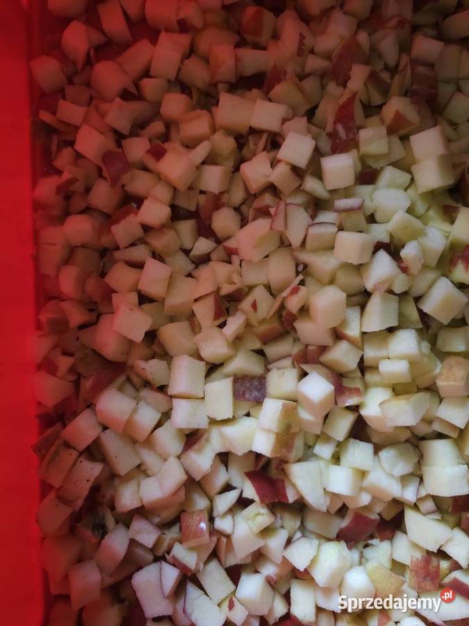 Kostkownica Treif 2 komplety traków kujawsko-pomorskie