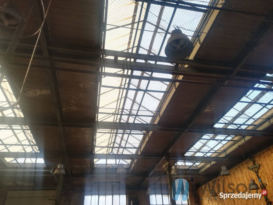 Do wynajęcia lokal 600m2 Wrocław