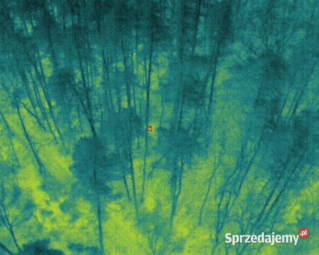 Poszukiwanie zwierząt i ludzi dronem z kamerą Łódź
