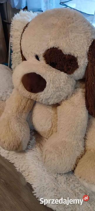 Duży pluszowy pies 150 kujawsko-pomorskie Drzycim