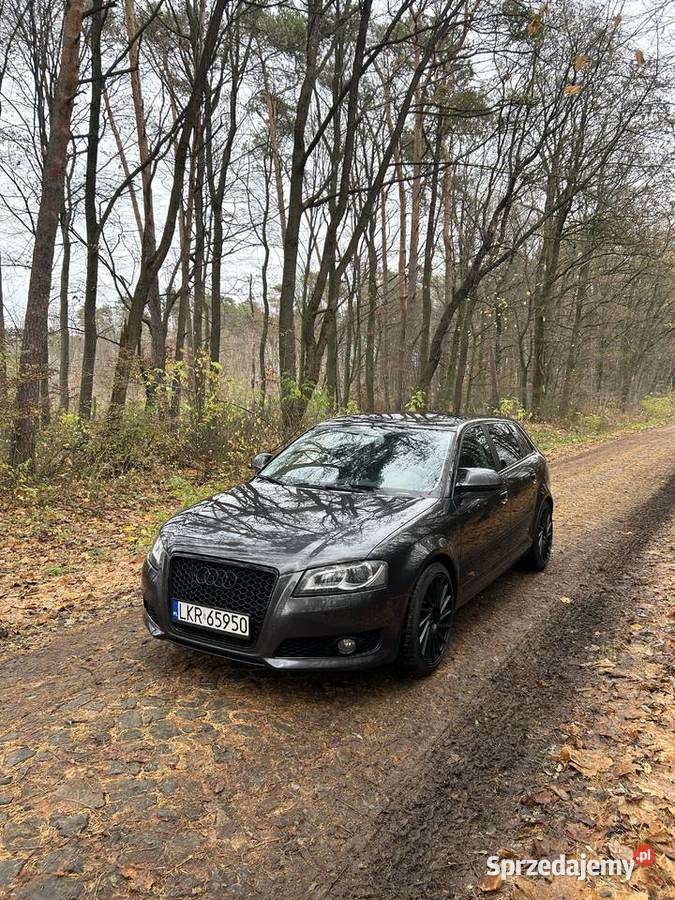 Audi A3 8p 18 TFSI Audi lubelskie Dzierzkowice-Wola