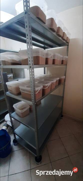 POLSKIE Regały półkowe PRODUCENT mazowieckie sprzedam