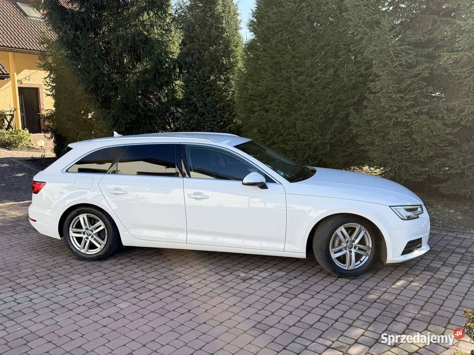 Audi A4 B9 20 TDI 190 Piękna bezwypadkowa sztuka elektrycznie ustawiane fotele śląskie Jaworzno